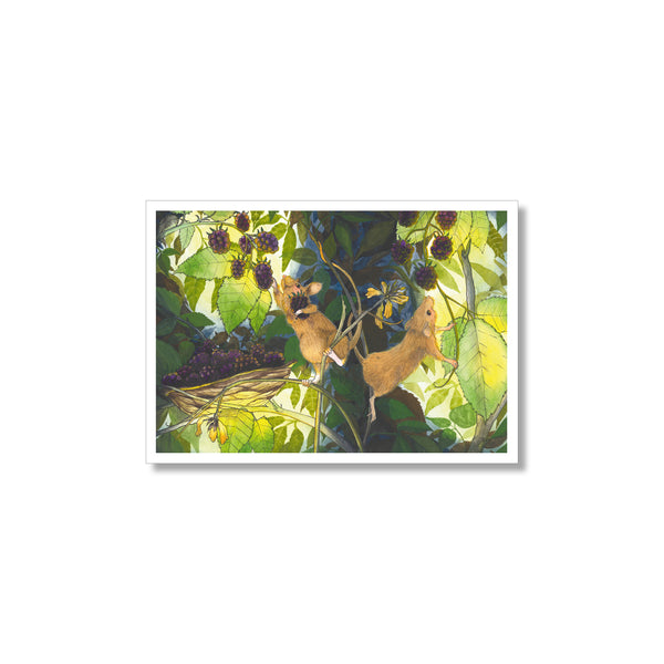Kunstdruck - Maeuse ernten Brombeeren - Glühwürmchen - Bild für Kinderzimmer - Format A3