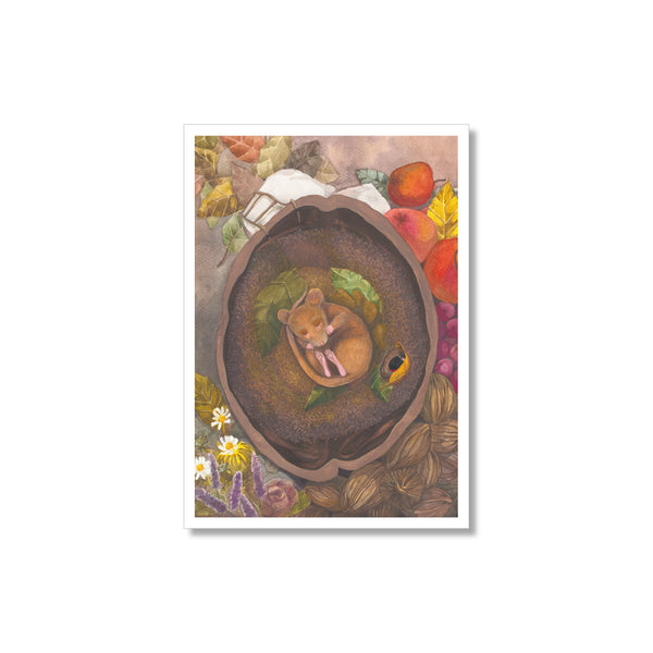 Kunstdruck - schlafende Maus in Walnussschale - Illustration für Kinder - Format A3