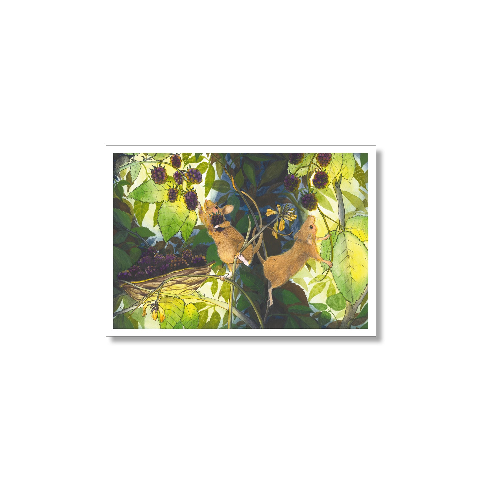 Kunstdruck - Maeuse ernten Brombeeren - Glühwürmchen - Bild für Kinderzimmer - Format A3