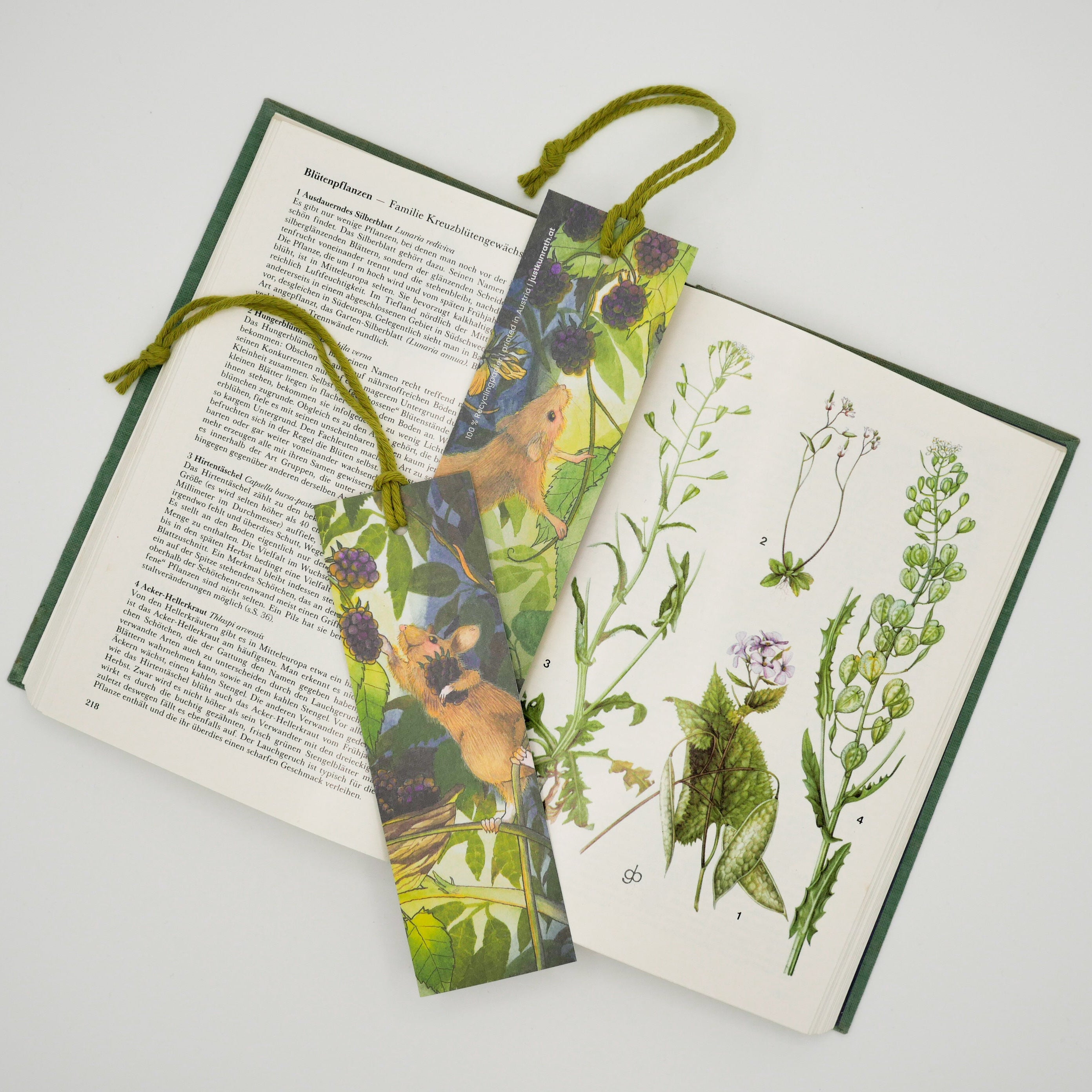 Lesezeichen - Mauese - Brombeeren - Garten - Nachhaltig produziert - 15x5cm - mit Kordel - grün - lila - gelb